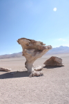 Hugh Leslie Tree Stone